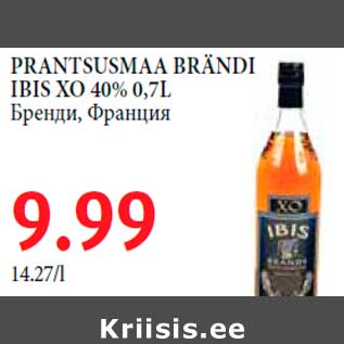 Allahindlus - PRANTSUSMAA BRÄNDI IBIS XO 40% 0,7L