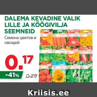 Allahindlus - DALEMA KEVADINE VALIK LILLE JA KÖÖGIVILJA SEEMNEID