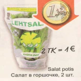 Allahindlus - Salat potis