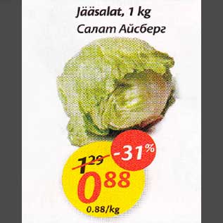 Allahindlus - Jääsalat,1 kg