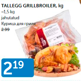 Allahindlus - TALLEGG GRILLBROILER, KG