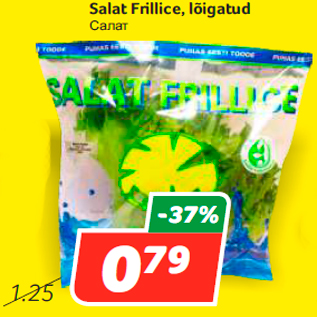 Allahindlus - Salat Frillice, lõigatud