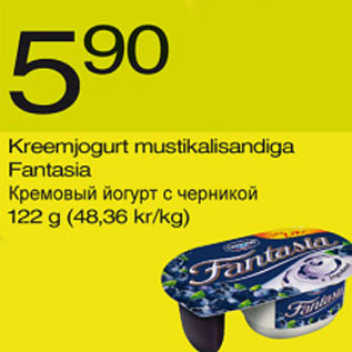 Allahindlus - Kreemjogurt mustikalisandiga Fantasia, 122 g