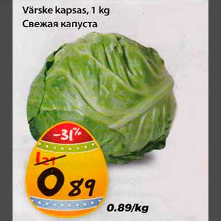 Allahindlus - Värske kapsas,1 kg