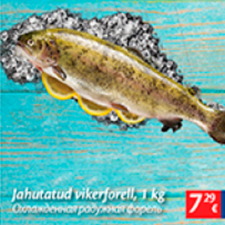 Allahindlus - Jahutatud vikerforell, 1 kg