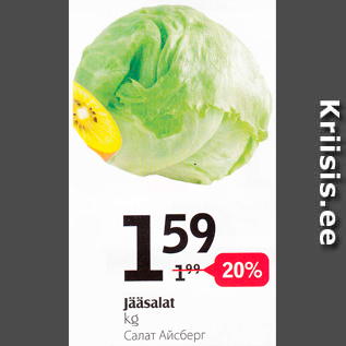 Allahindlus - Jääsalat, kg