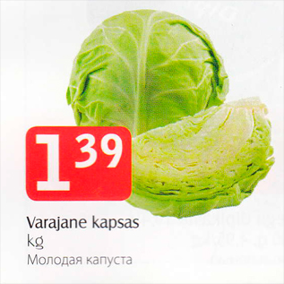 Allahindlus - varika kapsas kg