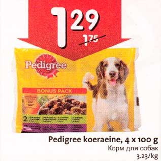 Allahindlus - Pedigree koeraeine, 4 х 100 g