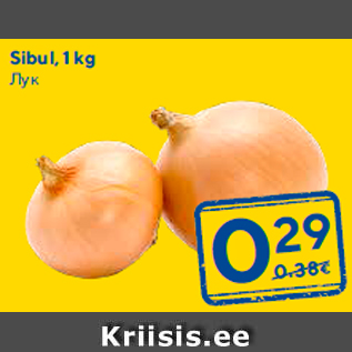 Allahindlus - Sibul, 1 kg