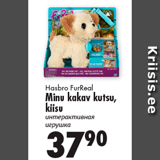 Allahindlus - Hasbro FurReal Minu kakav kutsu, kiisu