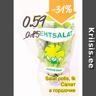 Allahindlus - Salat potis, tk