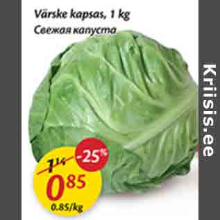 Allahindlus - Värske kapsas, 1 kg