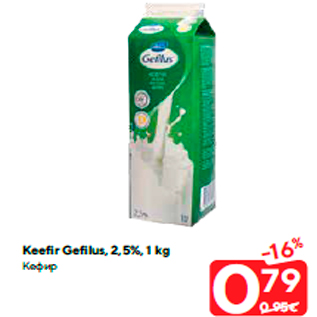 Allahindlus - Keefir Gefilus, 2,5%, 1 kg ефир