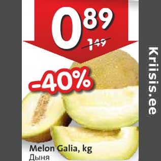 Allahindlus - Melon Galia, kg