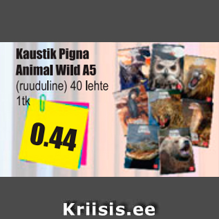 Allahindlus - Kaustik Pigna Animal Wild A5