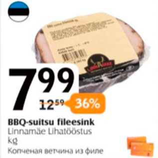 Allahindlus - BBQ-suitsu fileesink