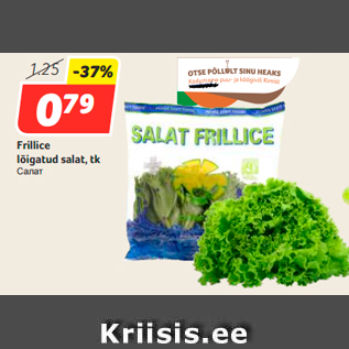 Allahindlus - Frillice lõigatud salat, tk