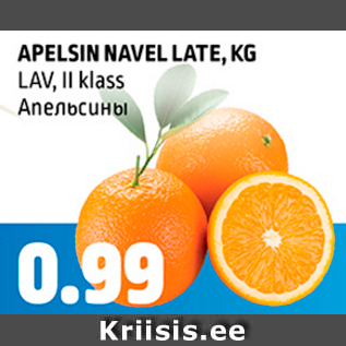 Allahindlus - APELSIN NAVEL LATE, KG