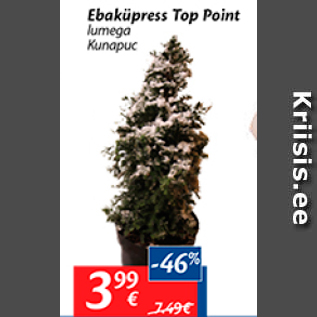 Allahindlus - Edaküpress Top Point