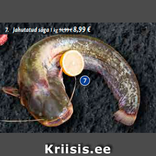 Allahindlus - Jahutatud säga 1 kg