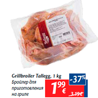 Allahindlus - Grillbroiler Tallegg, 1 kg