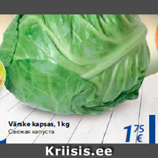 Allahindlus - Värske kapsas, 1 kg