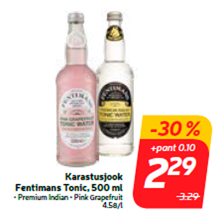 Allahindlus - Karastusjook Fentimans Tonic, 500 ml