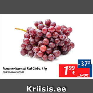 Allahindlus - Punane viinamari Red Globe, 1 kg