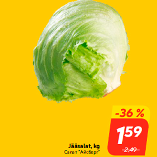 Allahindlus - Jääsalat, kg