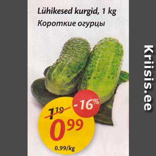 Allahindlus - Lühikesed kurgid, 1 kg