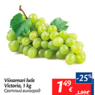 Allahindlus - Viinamari hele Victoria, 1 kg