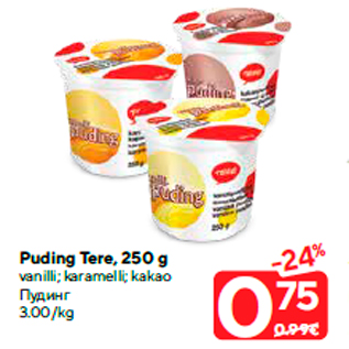 Allahindlus - Puding Tere, 250 g