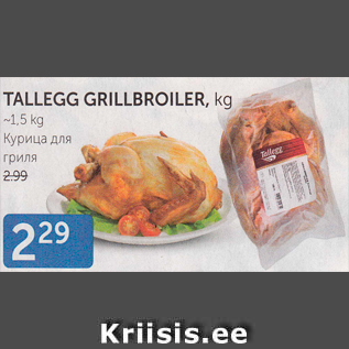 Allahindlus - TALLEGG GRILLBROILER, KG