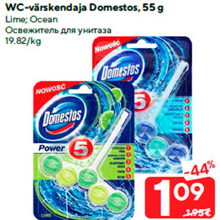 Allahindlus - WC-värskendaja Domestos, 55 g