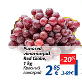 Allahindlus - Punased viinamarjad Red Globe, 1 kg