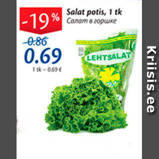 Allahindlus - Salat potis, 1 tk