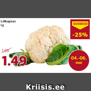 Allahindlus - Lillkapsas kg