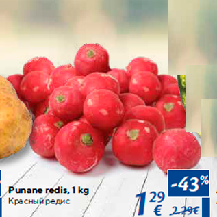 Allahindlus - Punane redis, 1 kg