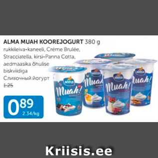 Allahindlus - ALMA MUAH KOOREJOGURT 380 G