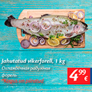 Allahindlus - Jahutatud vikerforell, 1 kg