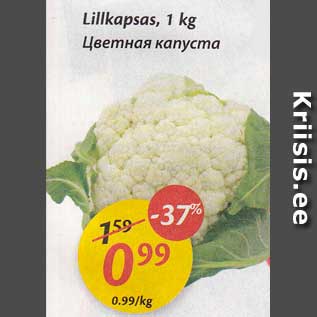 Allahindlus - Lillkapsas, 1 kg