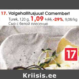 Allahindlus - Valgehallitusjuust Camembert Turek, 120 g