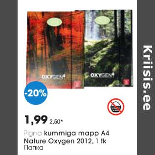 Allahindlus - Pigna kummiga mapp A4 Nature Oxygen 2012