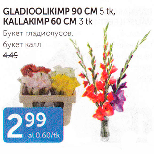 Allahindlus - GLADIOOLIKIMP 90 CM 5 TK, KALLAKIMP 60 CM 3 TK