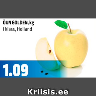 Allahindlus - Õun Golden Holland