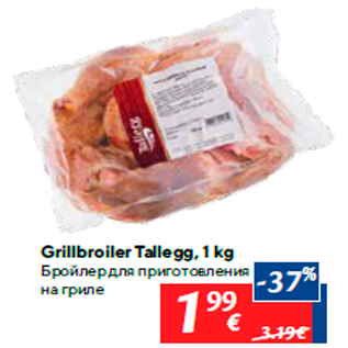 Allahindlus - Grillbroiler Tallegg, 1 kg