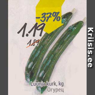 Allahindlus - Luunja kurk, kg