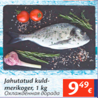 Allahindlus - Jahutatud kuld-merikoger, 1 kg