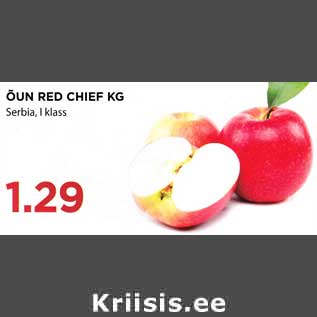 Allahindlus - ÕUN RED CHIEF KG