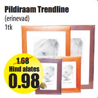 Allahindlus - Pildiraam Trendline (erinevad) 1tk